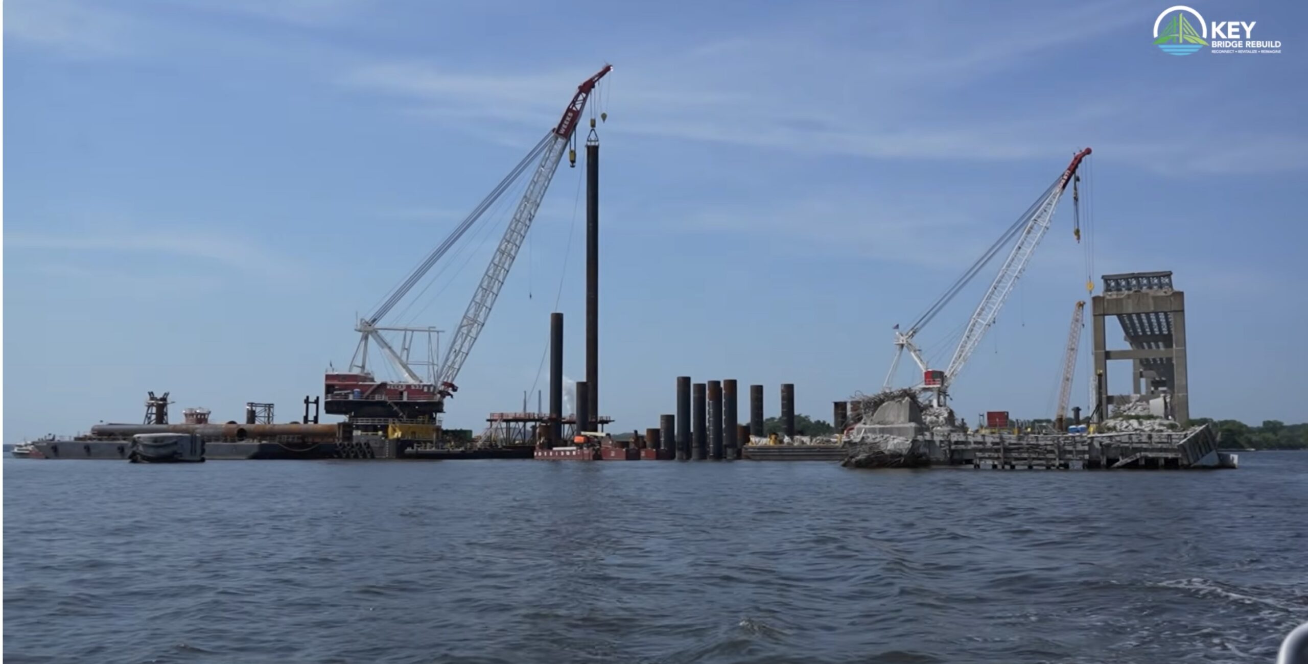 Image of cranes on the water.